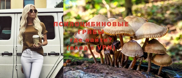 прущий лед Аркадак