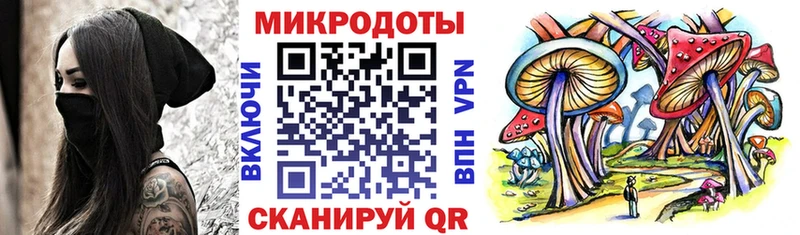 Галлюциногенные грибы мухоморы  Дмитриев 
